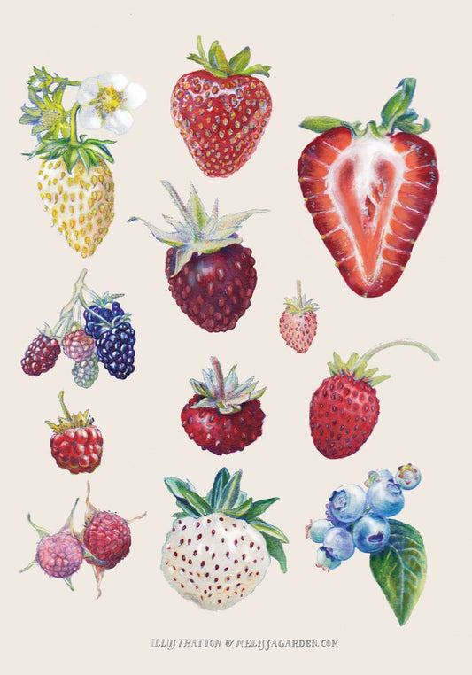 berries freestyle 🍓🫐